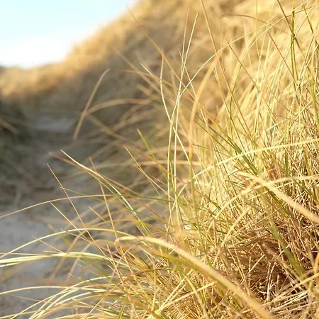 Strandlyst