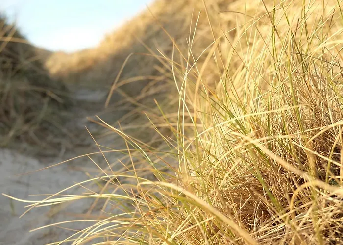 Strandlyst