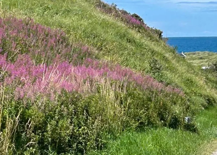 Strandlyst Hirtshals